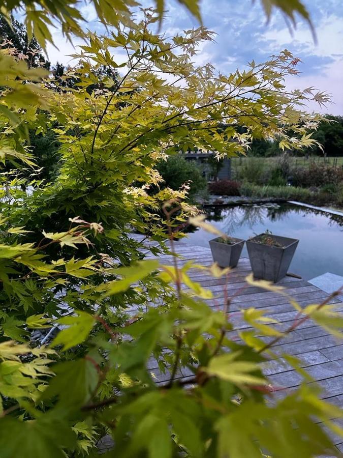 O Nature Bed and Breakfast Grez-Doiceau Esterno foto